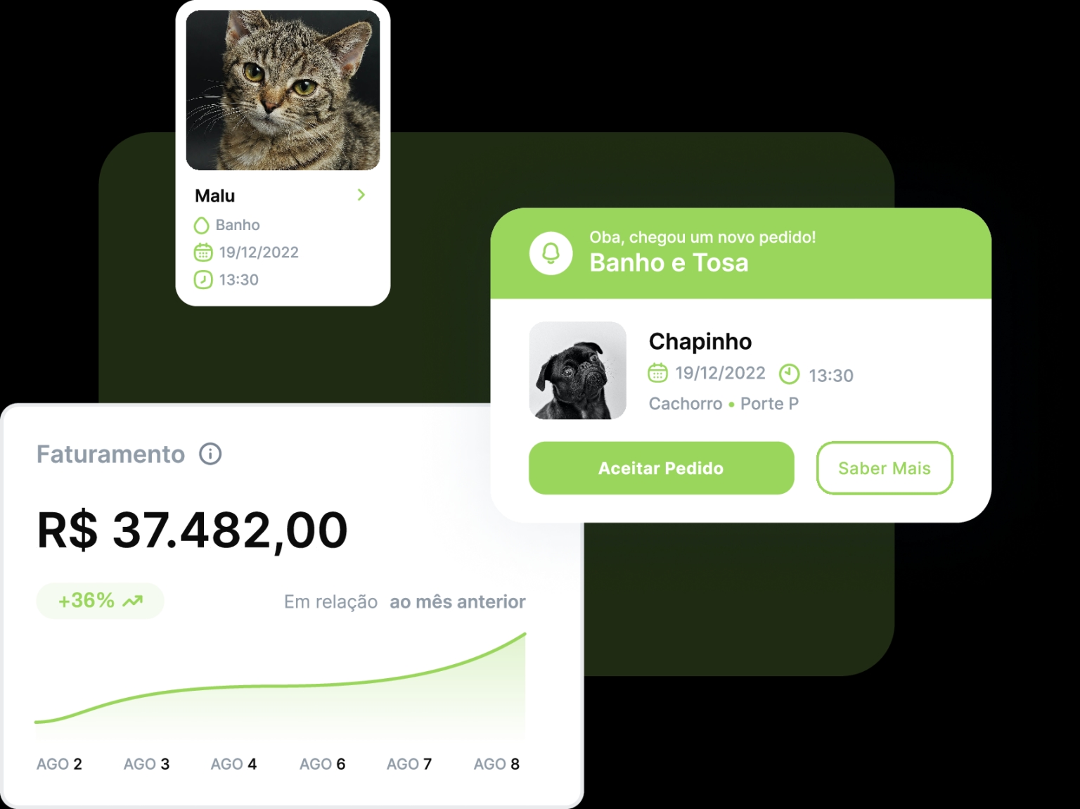 Gráfico demonstrando aumento de vendas com Petgenda